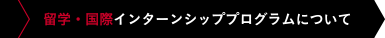 留学・国際インターンシッププログラムについて